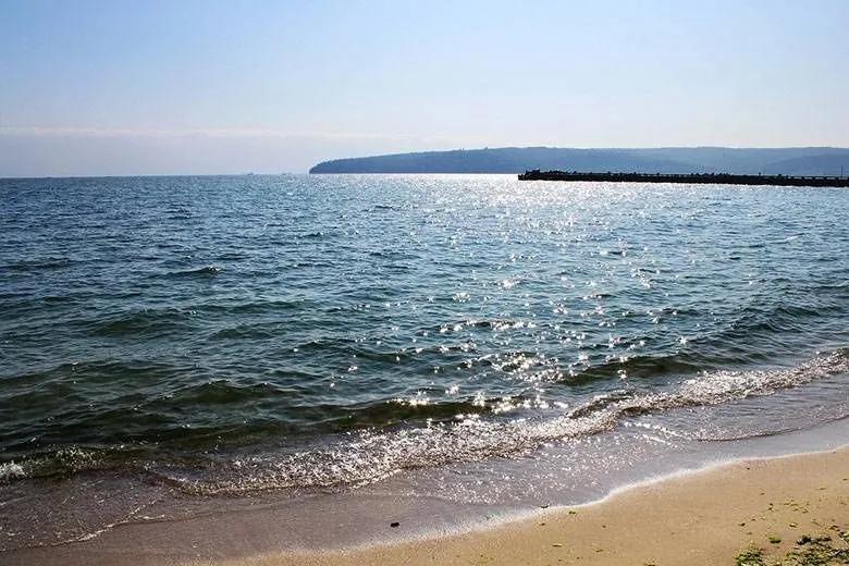 В Черном и Азовском морях нет вражеских судов.